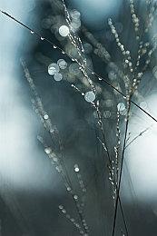 《全面战争：战锤3》混沌冠军勇士DLC 8月23日上线